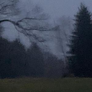 fountain of youth (feat. nishith)