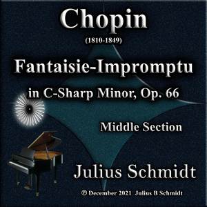 Chopin: Fantaisie-Impromptu in C-Sharp Minor, Op. 66: Middle Section