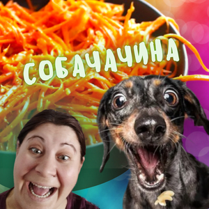Собачачина