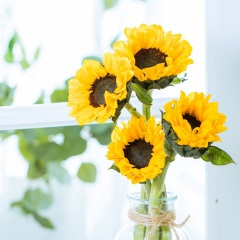 汪苏泷《那个男孩》