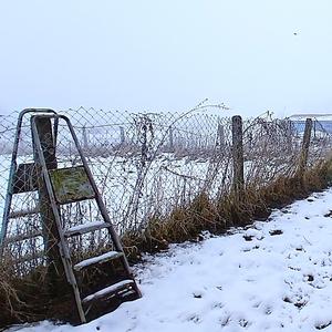 ░e░░m░░o░░t░░i░░o░░n░░a░░l░ ░d░░a░░m░░a░░g░░e░