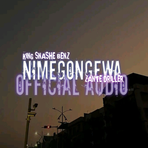 NIMEGONGEWA