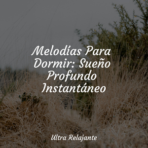 El Estrés Desaparece Para Siempre
