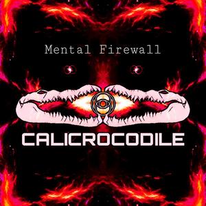 Mental Firewall