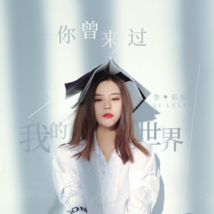 你曾来过我的世界