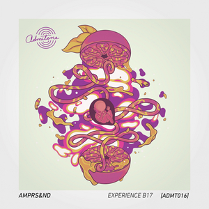 Experience B17 (Original Mix)