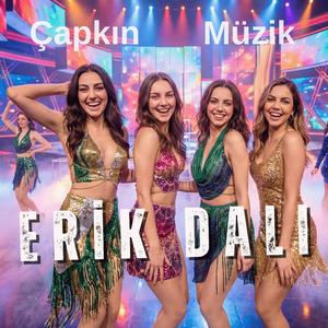 Erik Dalı Gevrektir