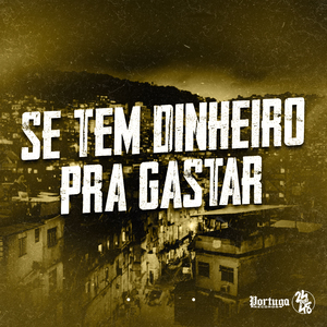 Se Tem Dinheiro pra Gastar