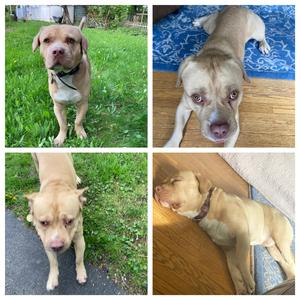 squinted eyes & open skies impromptu jam (raw sample from 6.10.21)