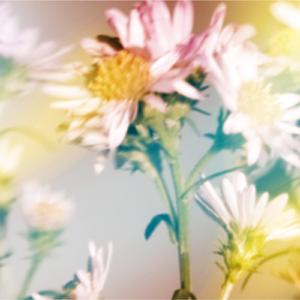 まひるの月(Rebuild)