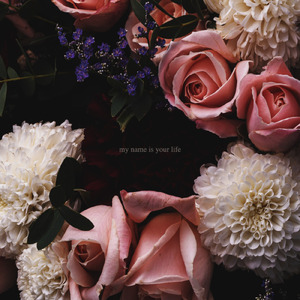 my name is your life