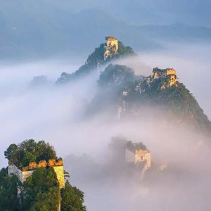 多情却似总无情