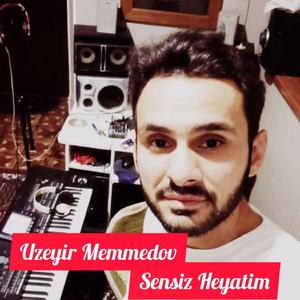 Sensiz Heyatim