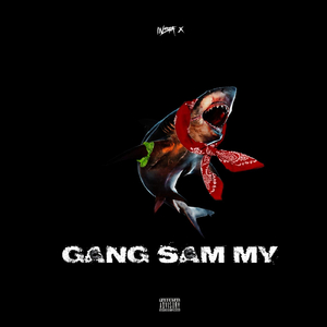 Gang Sam My