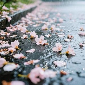 落花雨 (Cover 任然)