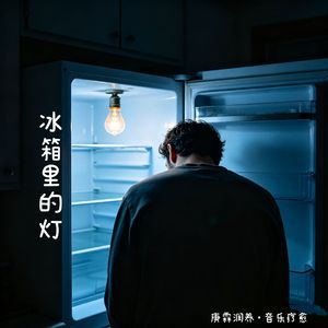 冰箱里的灯_