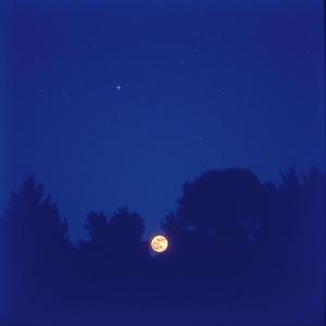 我在地球的某个角落默默地祝福你 (I am Silently Blessing You in a Corner of t by @jingdu