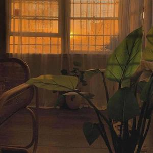 音阙诗听-芒种（D&Z / 洛克Rockey remix）