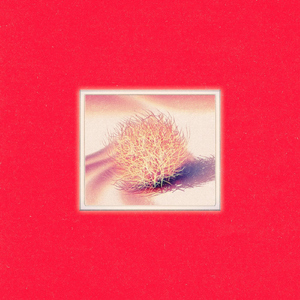 Here With You