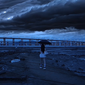 你失约的海 我一个人来了