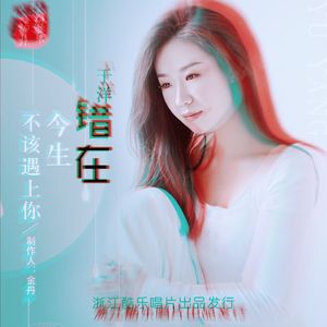 错在今生不该遇上你（Dj版）