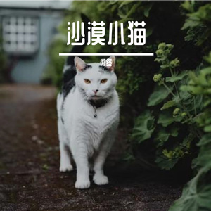 夜空中的秘密 (1)