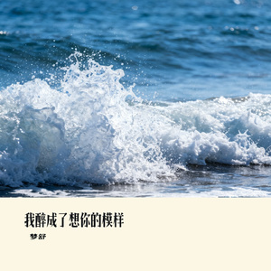 我醉成了想你的模样