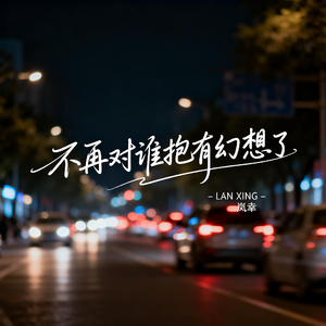 不再对谁抱有幻想了