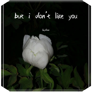 but I don't like you(礼堂瑕疵版）