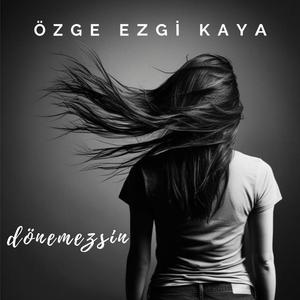 Dönemezsin
