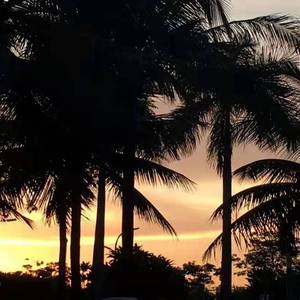 深圳的冬天为什么没有雪