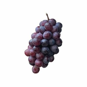 葡萄