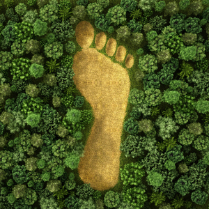 Extinción de Naturaleza