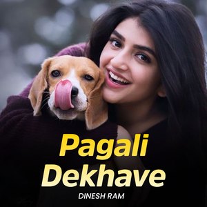 Pagali Dekhave