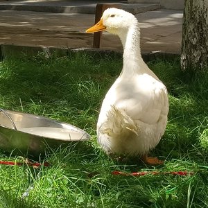 年轮(男生版)