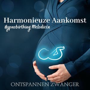 Bevallings achtergrondmuziek