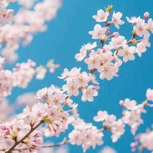 春日的暖心馈赠