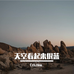 天空看起来很蓝