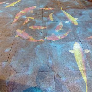 透明的琥珀年华