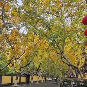 死ぬのがいいわ