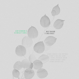 Windy Lake Meditation