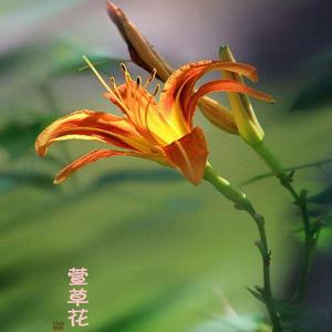 斯卡布罗集市（中文版）