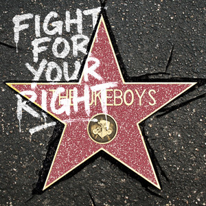 Fight for Your Right