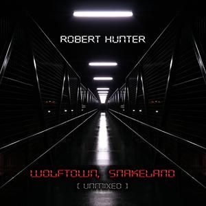 Wild Horses (Extended Mix)