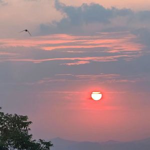 晚夕伴和风 所遇即温柔