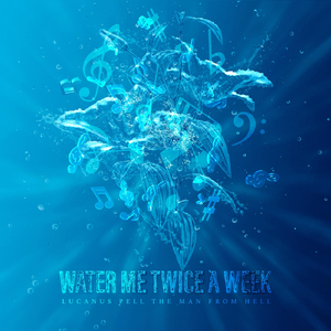 Water Me Twice a Week