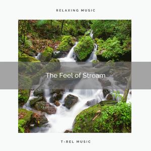 Soothing Music of Rain Forest with Flowing River