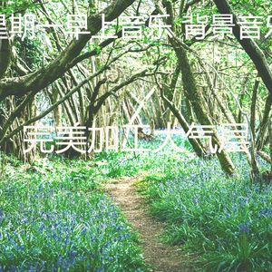 抚慰的加工回忆