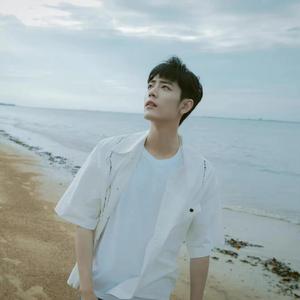 樱花赞（原创肖战应援曲）