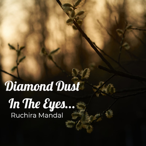 Diamond Dust In The Eyes...